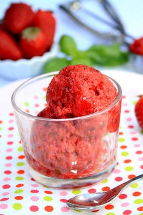 Recette de sorbet fraise et basilic (sans sorbetière)