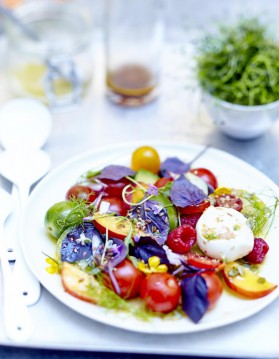 Salade de tomates, fruits, fleurs et burrata au basilic pourpre pour 6 ...
