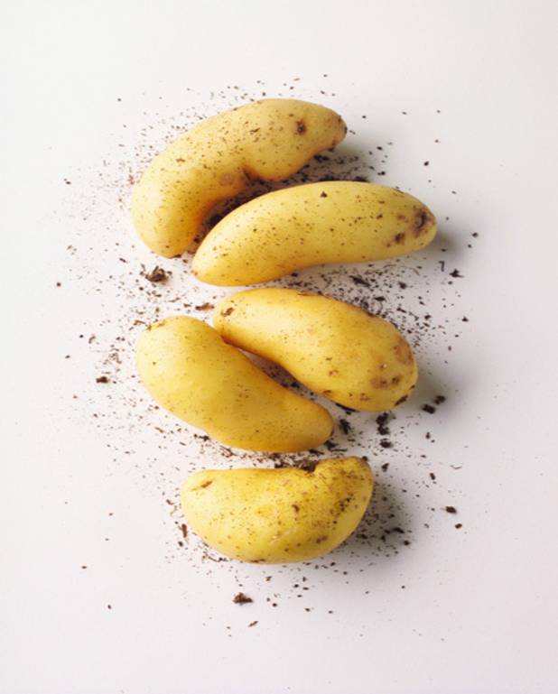 Pommes de terre au reblochon pour 4 personnes