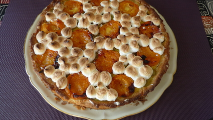 Recette de tarte à la rhubarbe et aux abricots