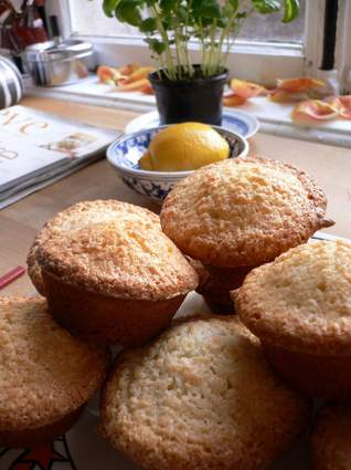 Recette de muffins citron-basilic