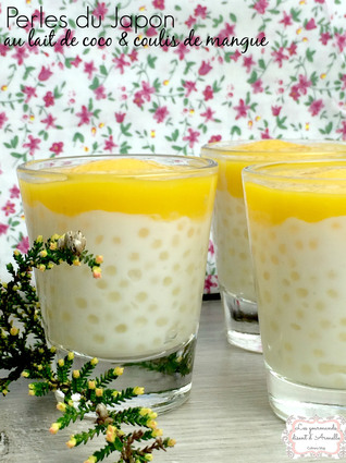 Recette de perles du japon au lait de coco et coulis de mangue