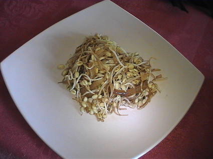 Recette de poêlée de pousses de soja (haricots mungo)