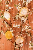 Recette madeleines au citron (madeleine dessert)