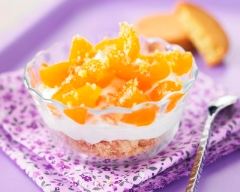 Recette crème de yaourt aux abricots