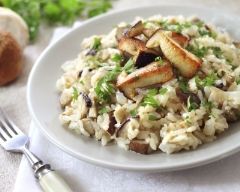 Recette risotto poulet champignons