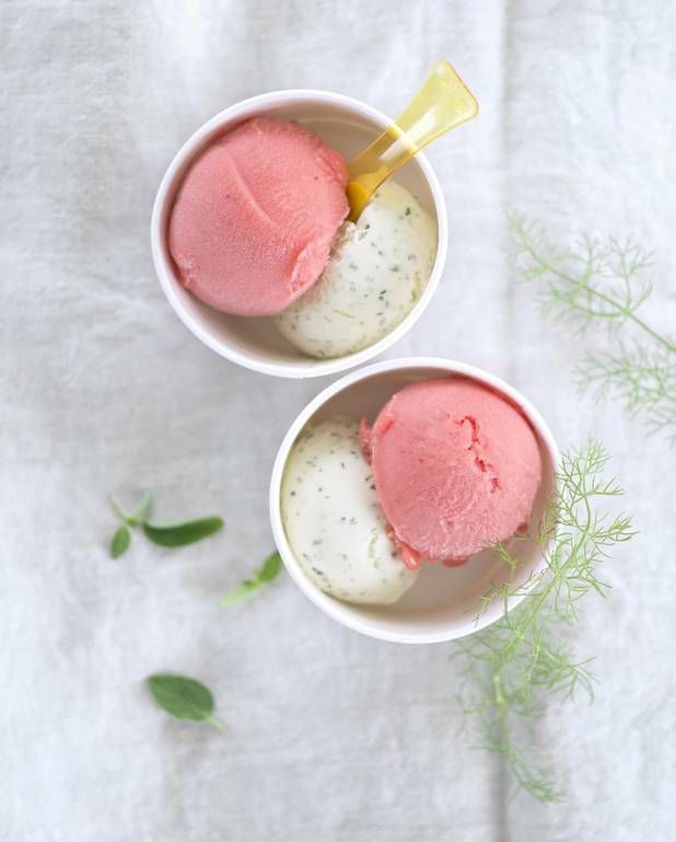 Crème glacée à la nepita et sorbet fraise-fenouil pour 10 personnes ...