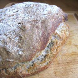 Recette pain aux noix sans pétrissage – toutes les recettes allrecipes