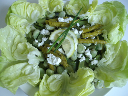Recette de salade toute verte