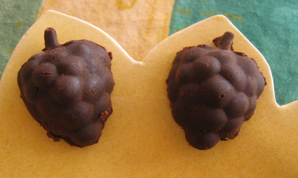 Recette de raisins chocolatés