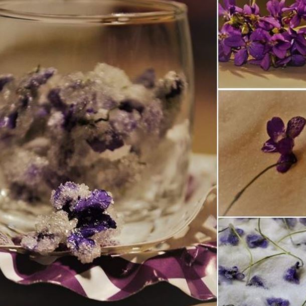 Recette violettes du jardin cristallisées au deshydrateur @stockli ...