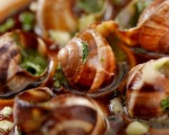 Recette escargots en sauce