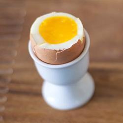 Recette comment faire cuire un œuf ? – toutes les recettes allrecipes