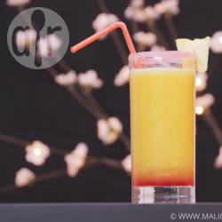 Recette cocktail tropical – toutes les recettes allrecipes